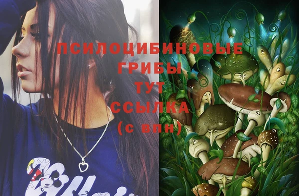 ГАЛЛЮЦИНОГЕННЫЕ ГРИБЫ Нея