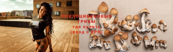 MDMA Premium VHQ Нефтегорск