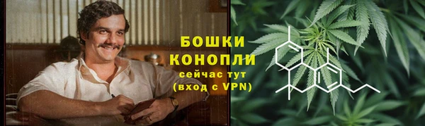 ГАЛЛЮЦИНОГЕННЫЕ ГРИБЫ Нея