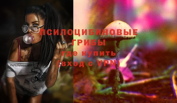 ГАЛЛЮЦИНОГЕННЫЕ ГРИБЫ Нея