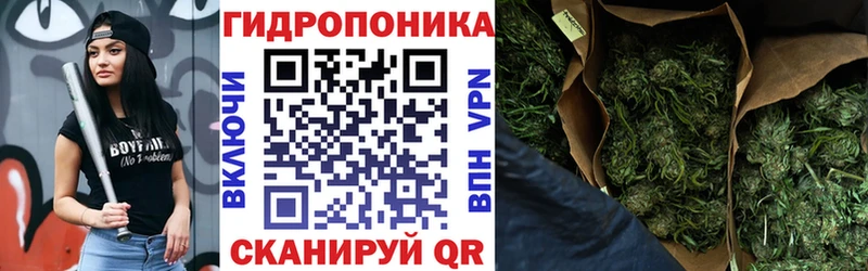 Купить где  Камень-на-Оби  Конопля тримм 